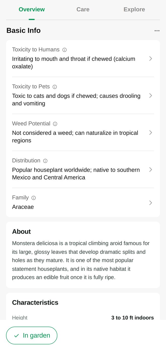 PlantClinic basic info for a monstera: toxicity to humans and to pets